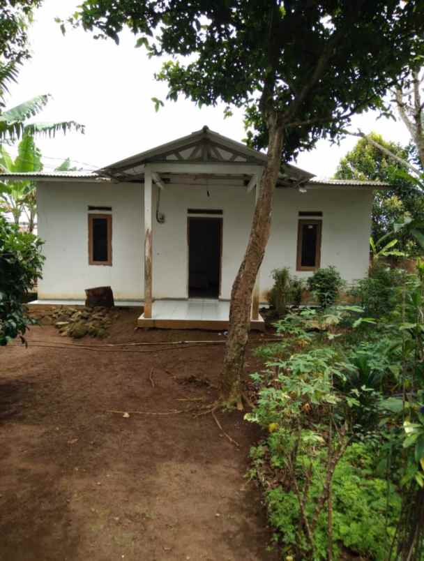 rumah kebun 600jt di caringin kabupaten bogor