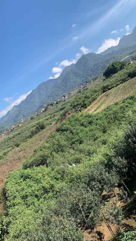 rumah kebun luas di daerah batu udara sejuk dan bersih