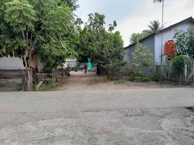 rumah luas 400 m 5 kamar di ciruas