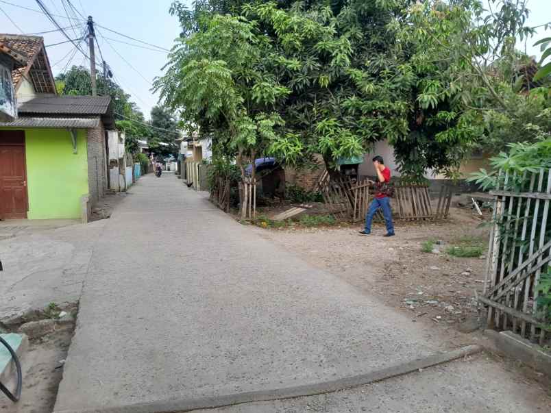 rumah luas 400 m 5 kamar di ciruas