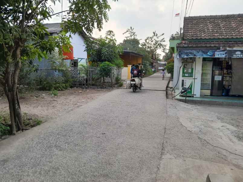 rumah luas 400 m 5 kamar di ciruas