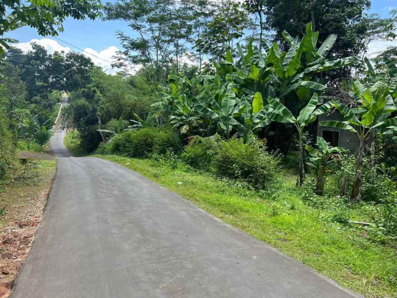 tanah 1685m selatan pasar mojogedang karanganyar