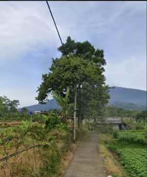 tanah 2000 meter bisa perluasan di cijeruk