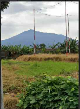 tanah 2000 meter bisa perluasan di cijeruk