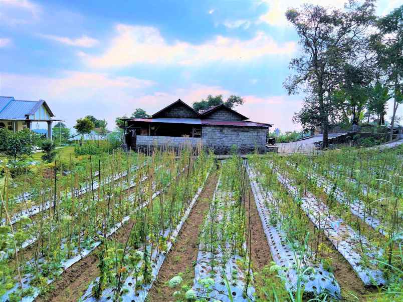 tanah 505m kota wisata kemuning karanganyar