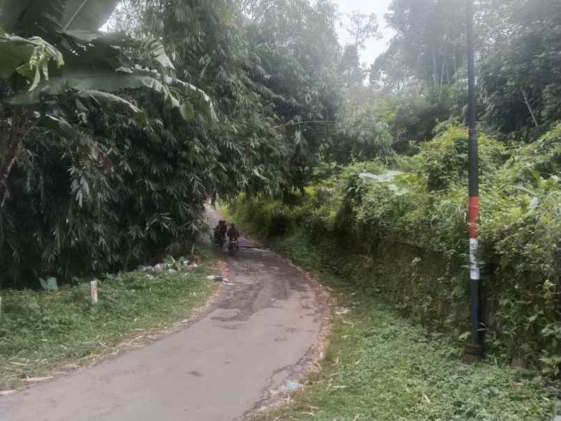 tanah bekas kolam ciater subang jawa barat