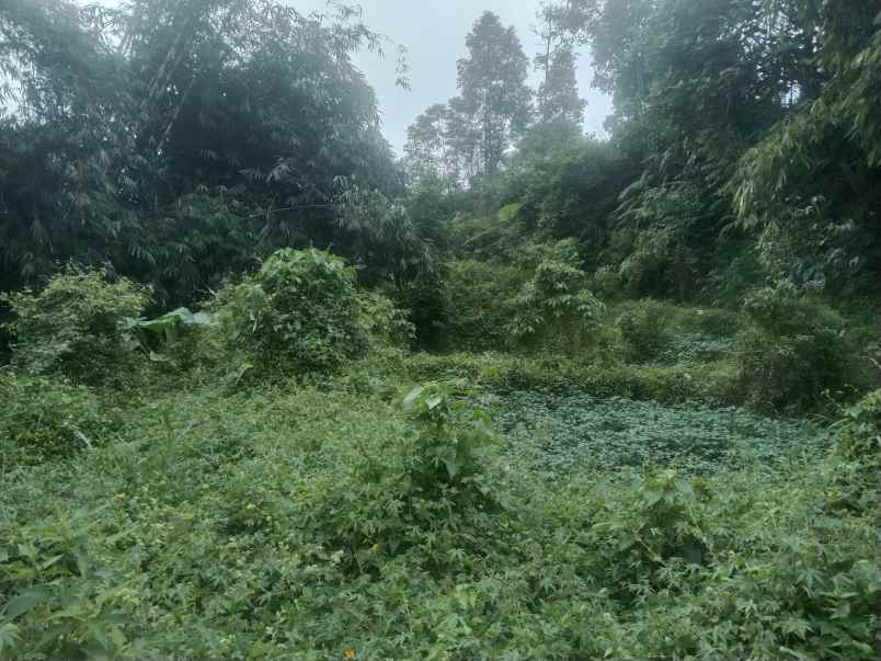 tanah bekas kolam ciater subang jawa barat