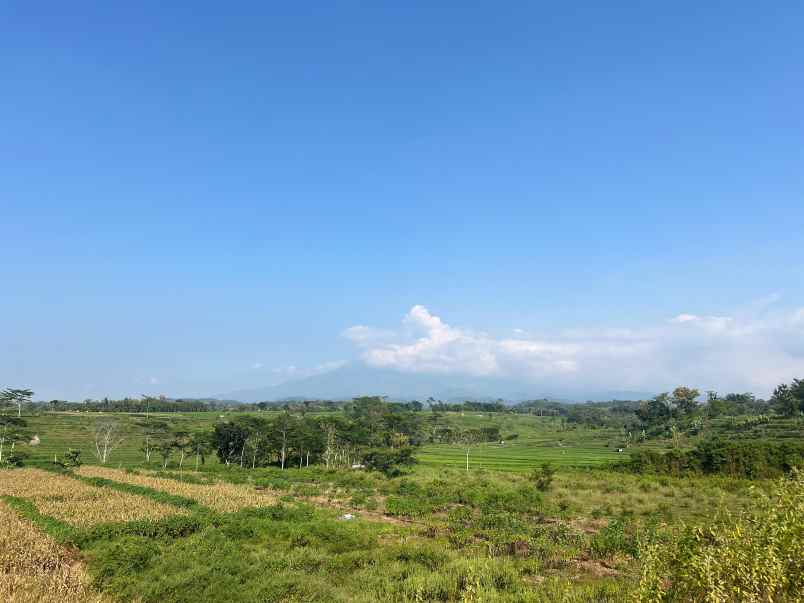 tanah datar view gunung lawu kedawung sragen