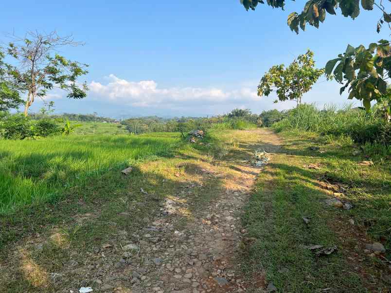 tanah datar view gunung lawu kedawung sragen