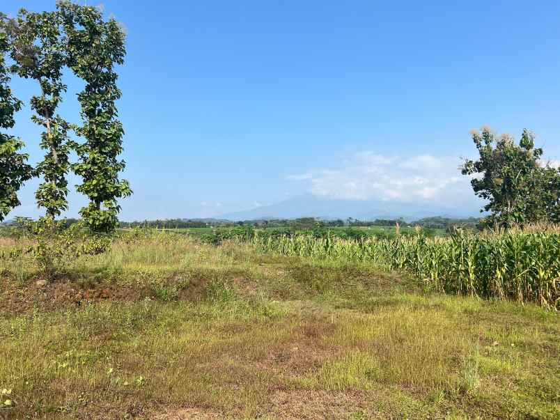 tanah datar view gunung lawu kedawung sragen