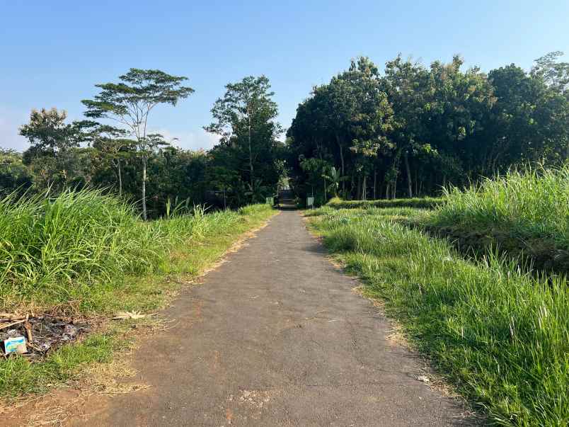 tanah datar view gunung lawu kedawung sragen