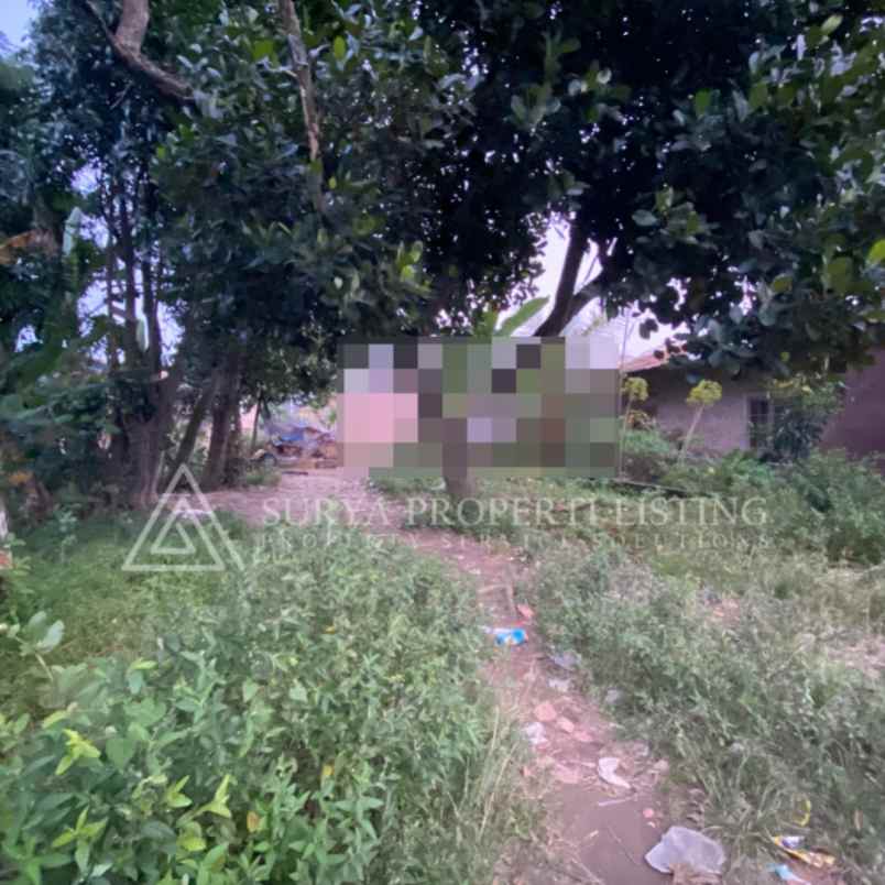 tanah jalan lapangan 2 dusun 7 padi percut sei tuan