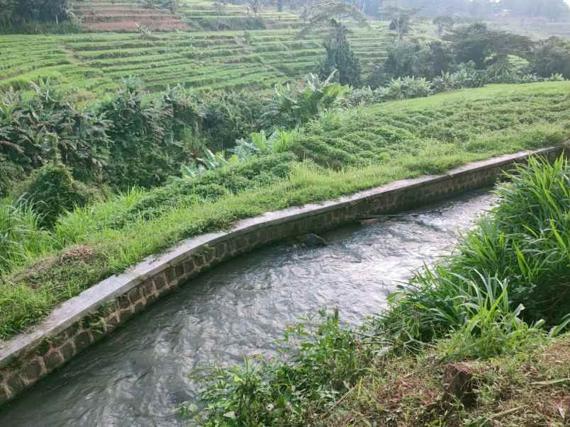 tanah karangpandan karanganyar