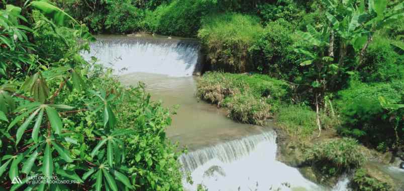 tanah karangpandan karanganyar