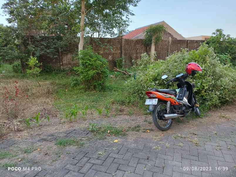 tanah kavling strategis di tondano view jember