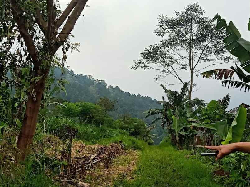 tanah kebun murah luas strategis di ngaglik kota batu