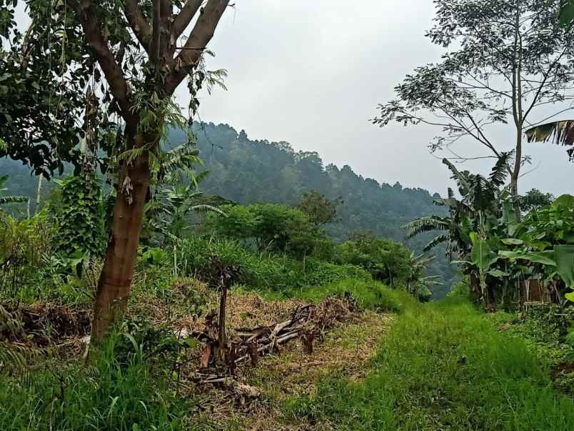 tanah kebun murah luas strategis di ngaglik kota batu