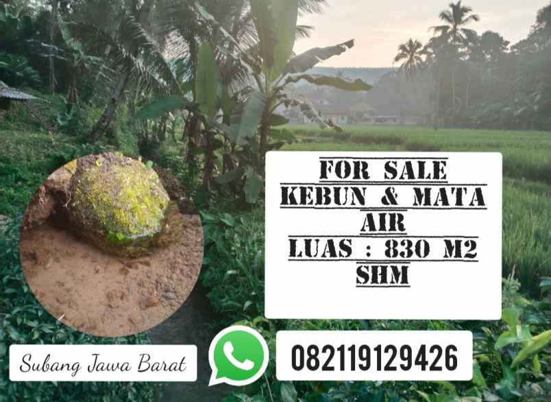 tanah kebun punya mata air serang panjang subang