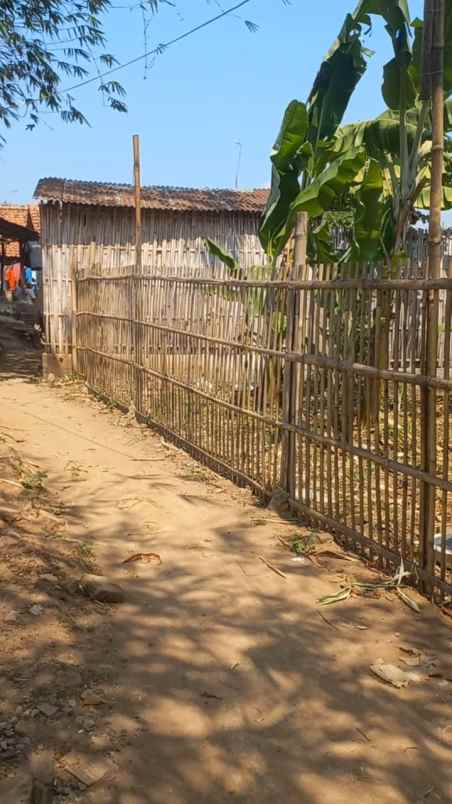 tanah kebun rata padat di tengah pemukiman