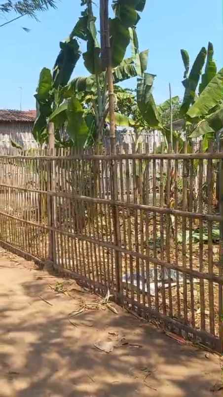 tanah kebun rata padat di tengah pemukiman