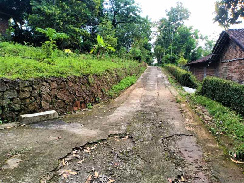 tanah kerjo karanganyar