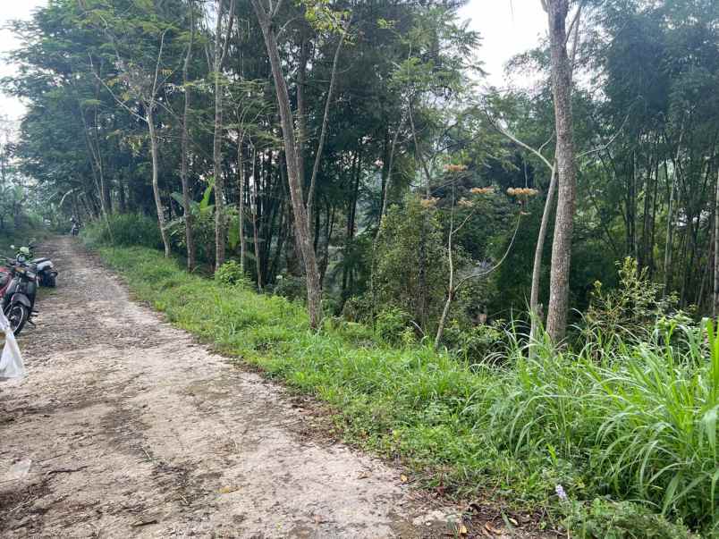 tanah lingkungan asri udara dingin kemuning ngargoyoso