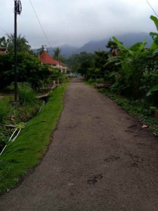 tanah luas 3000 m2 di batu putu bandar lampung