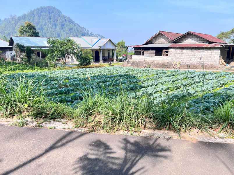 tanah murah 505m 350 juta kawasan wisata karanganyar