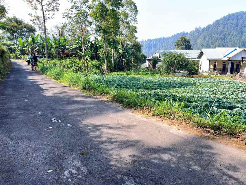 tanah murah 505m 350 juta kawasan wisata karanganyar