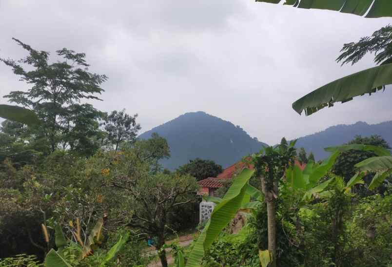 tanah murah untuk rumah tinggal atau villa view lepas