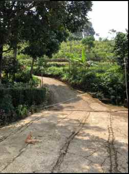 tanah pasir pogor cijeruk 1800 meter