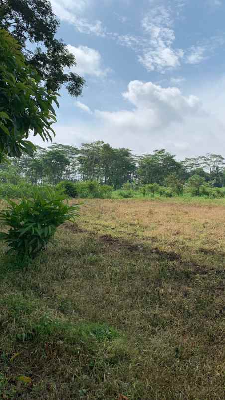 tanah pekarangan utara gumulan