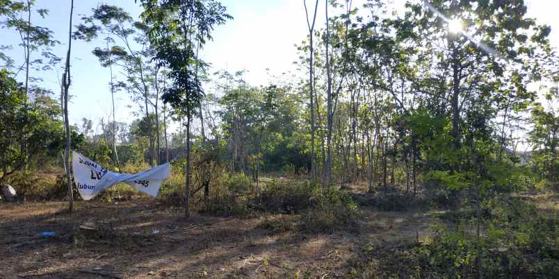 tanah pekarangan zona pemukiman