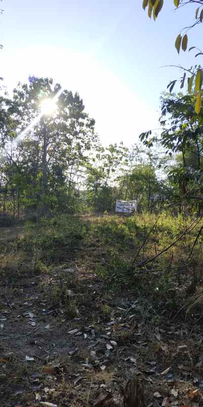 tanah pekarangan zona pemukiman