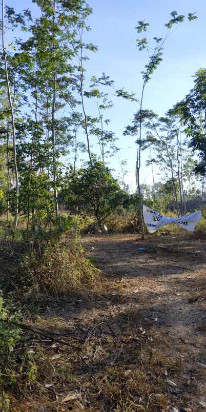 tanah pekarangan zona pemukiman