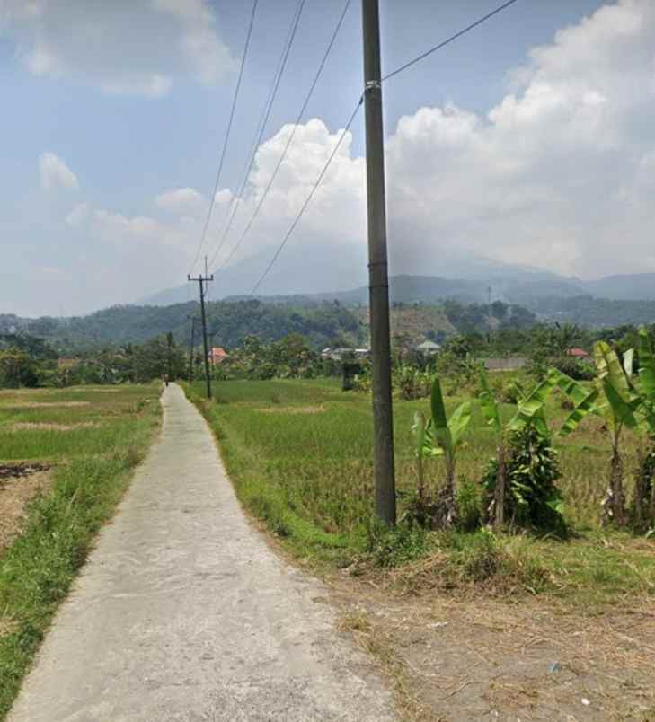 tanah sawah murah view gunung di pamijahan bogor