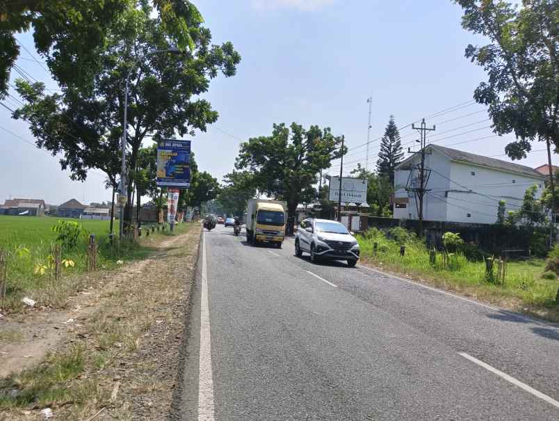 tanah sawah pinggir jalan raya kudus jepara