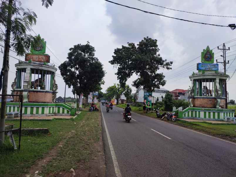 tanah sawah pinggir jalan raya kudus jepara