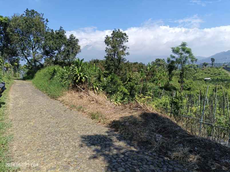 tanah sawah subur harga bagus di bumiaji kota batu