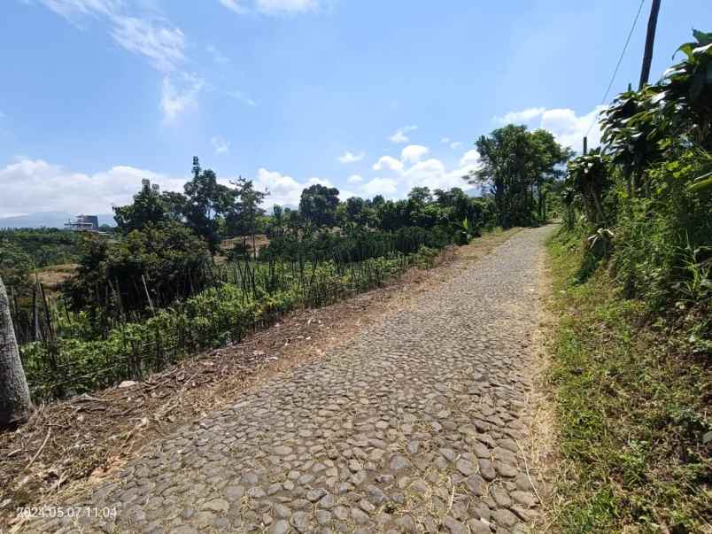 tanah sawah subur harga bagus di bumiaji kota batu