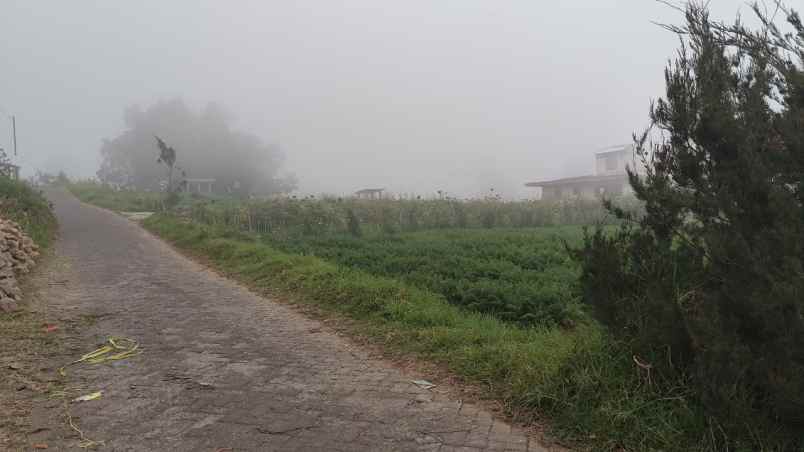 tanah sawah subur harga bagus di bumiaji kota batu