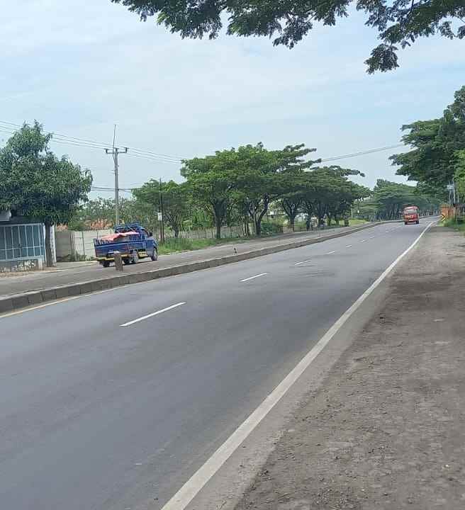 tanah strategis pinggir jln pantura