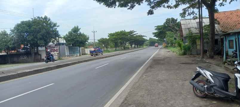 tanah strategis pinggir jln pantura