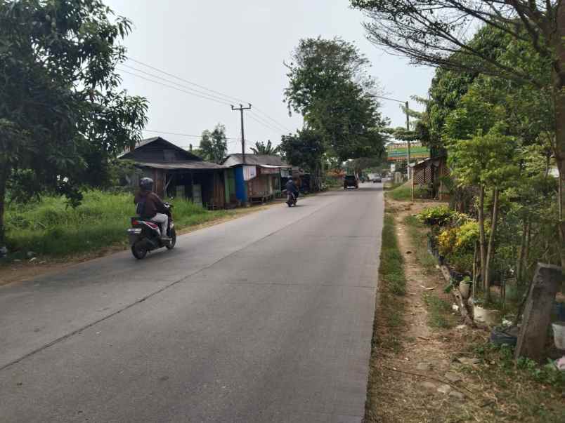 tanah untuk usaha pinggir jalan syeh quro telagasari