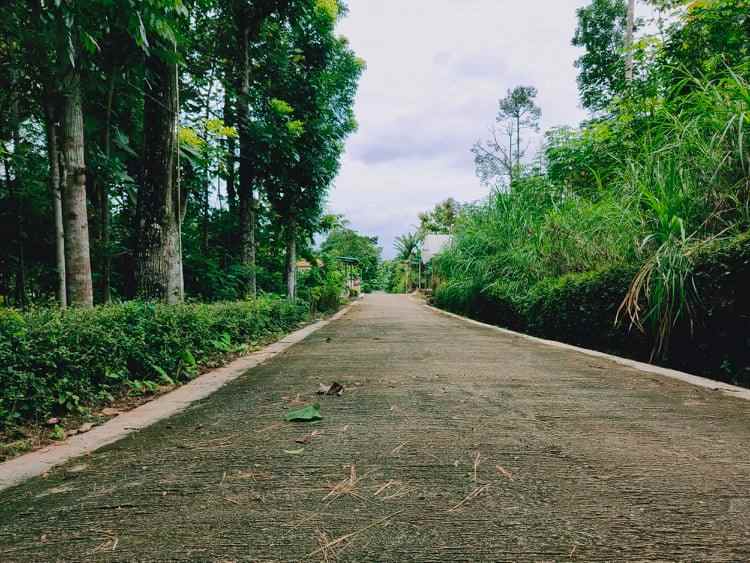 tanah utara pasar mojogedang