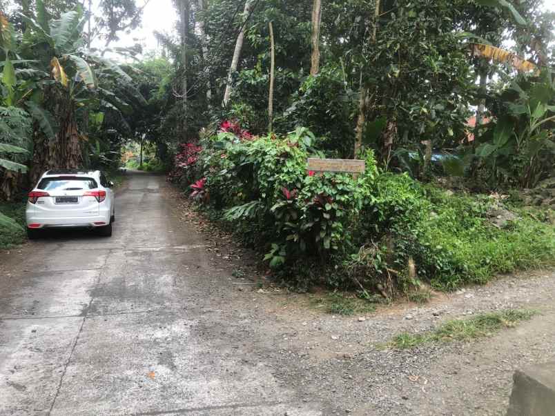 tanah zona kuning di sebali ubud bali