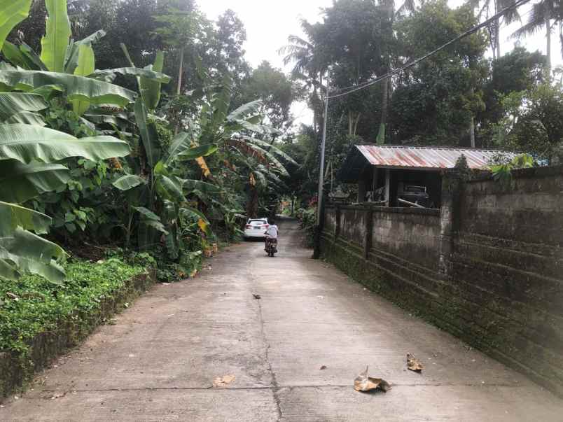 tanah zona kuning di sebali ubud bali