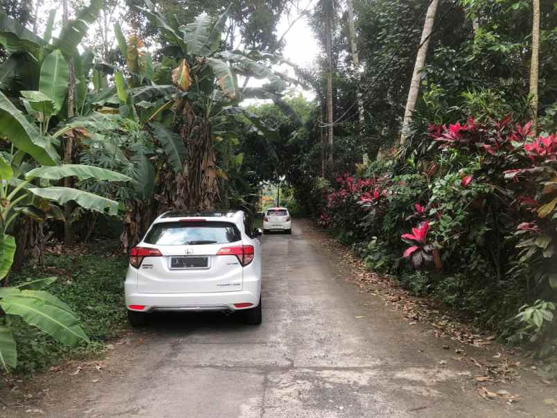 tanah zona kuning di sebali ubud bali