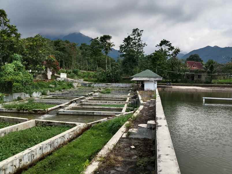 vila kolam ikan view hamparan gunung subang