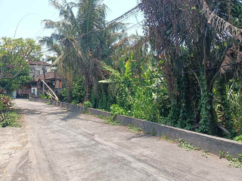 yellow zone land in kesambi kerobokan bali